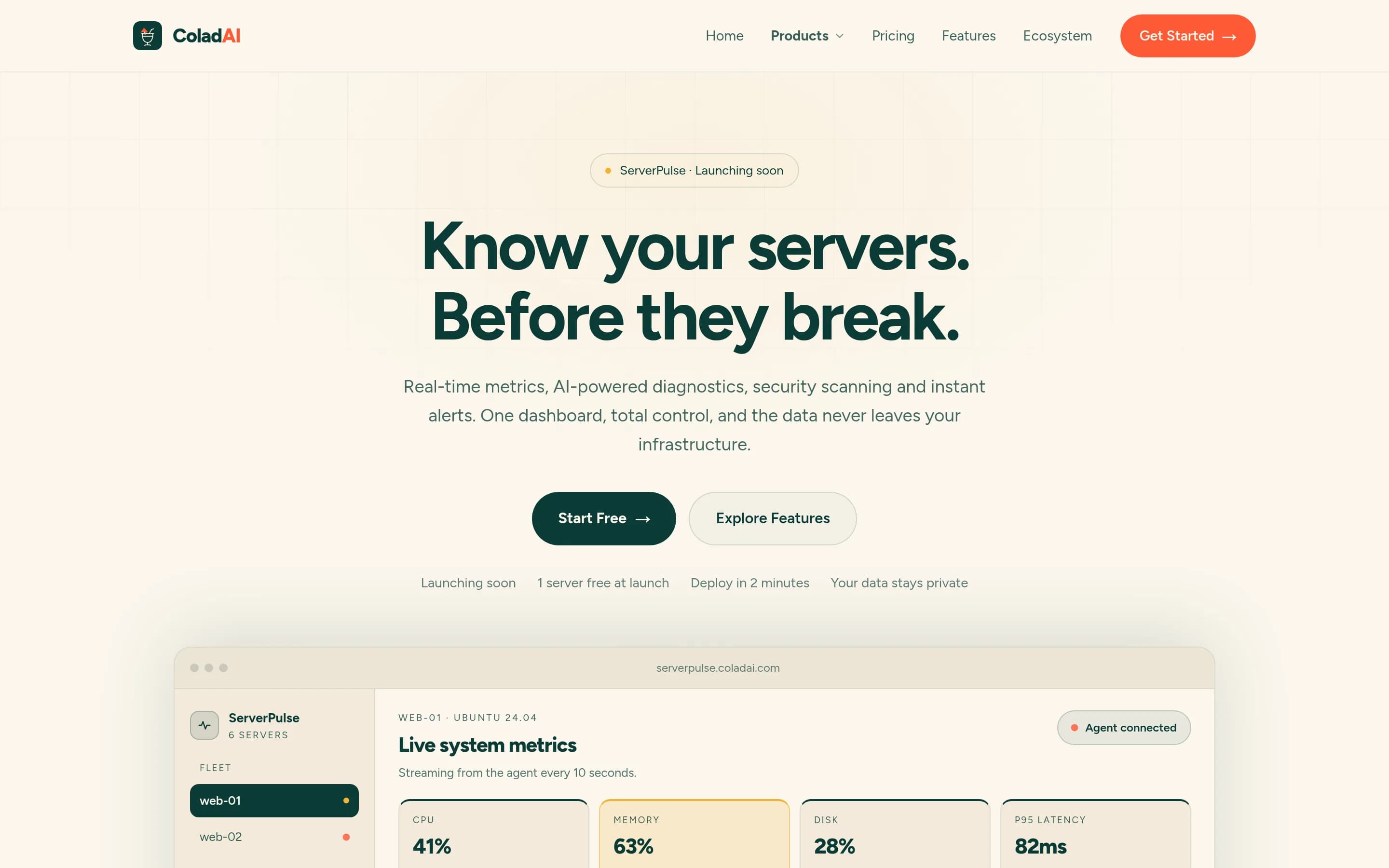 ServerPulse website screenshot